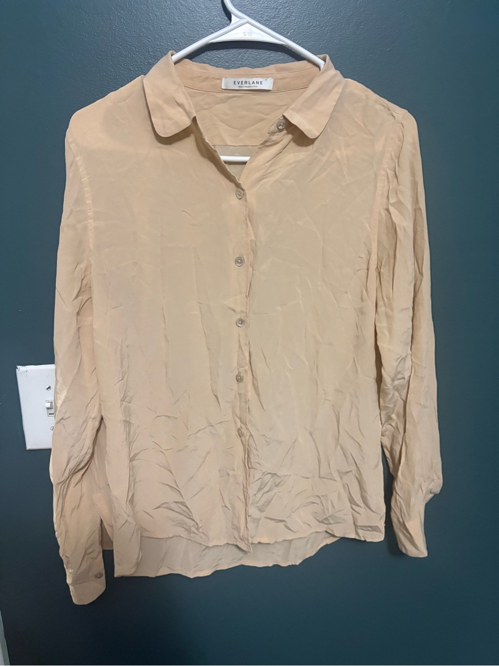 Everlane Women's silk Blush Button-Up Shirt